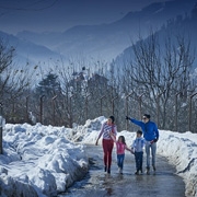 Manali Honeymoon Tour Packages