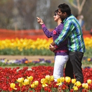 Kashmir Family Packages