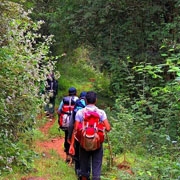 Munnar Adventure Packages